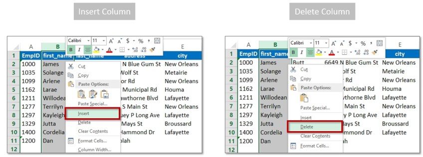 Adding-Deleting-Columns-Excel-Basics