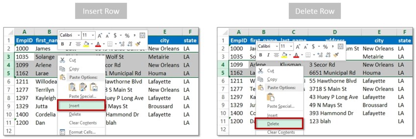 Adding-Deleting-Rows-Excel-Basics