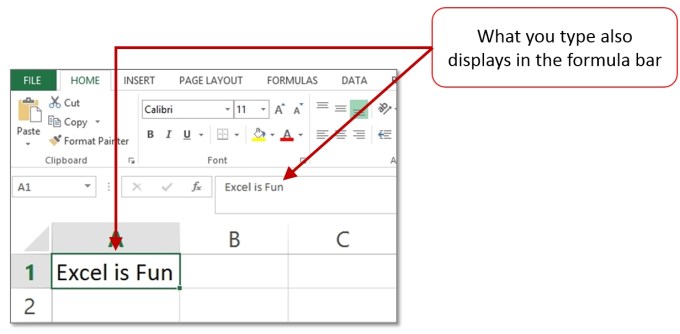 Enter-Data-into-cell-Excel-Basics