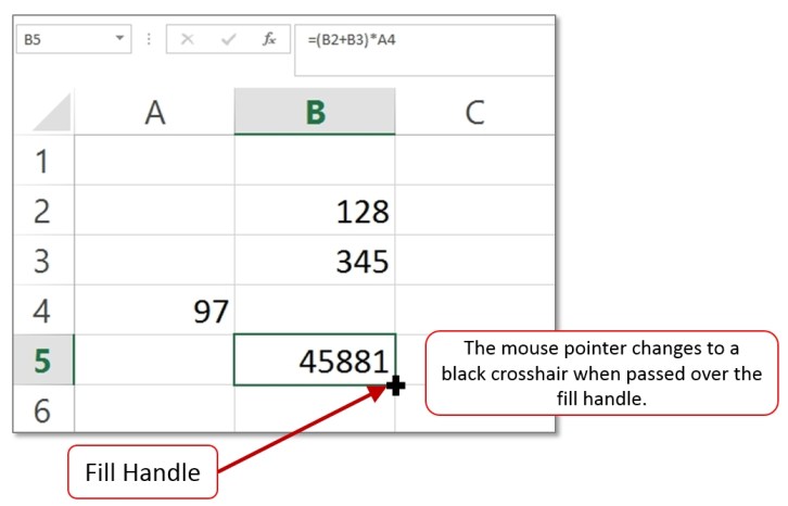 Use-fill-handle-to-copy-information