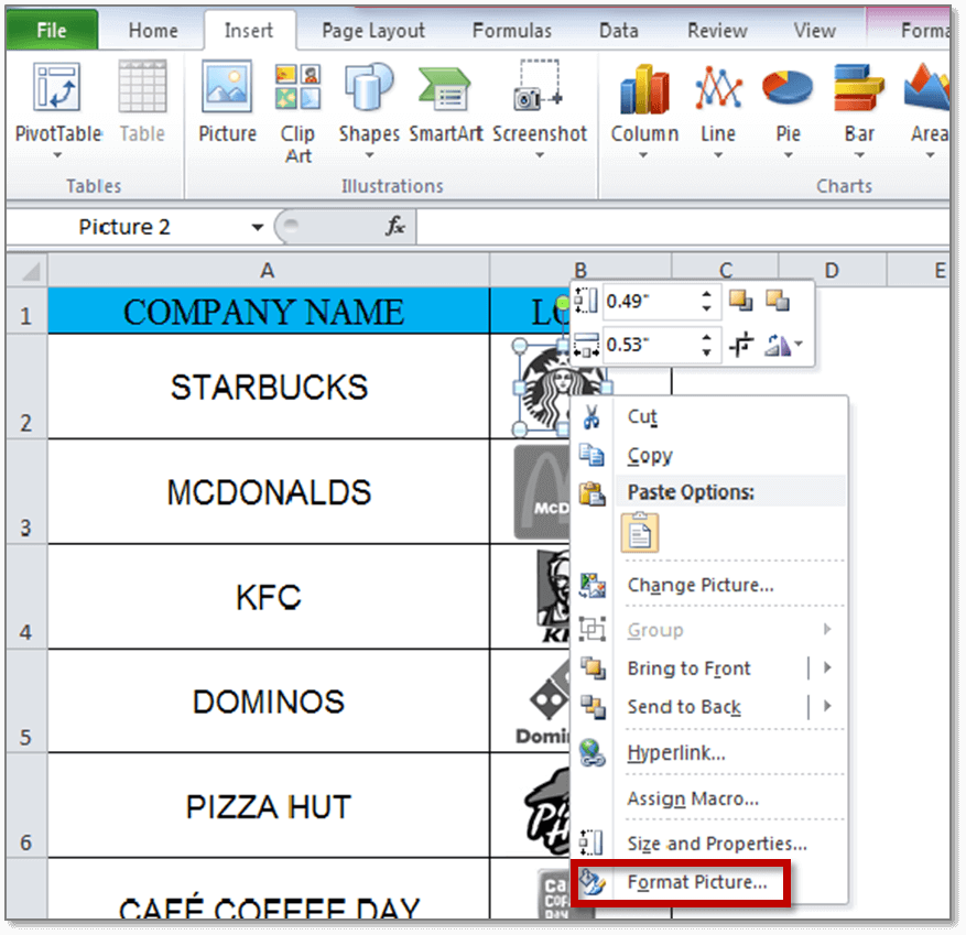 paste image into excel cell mac