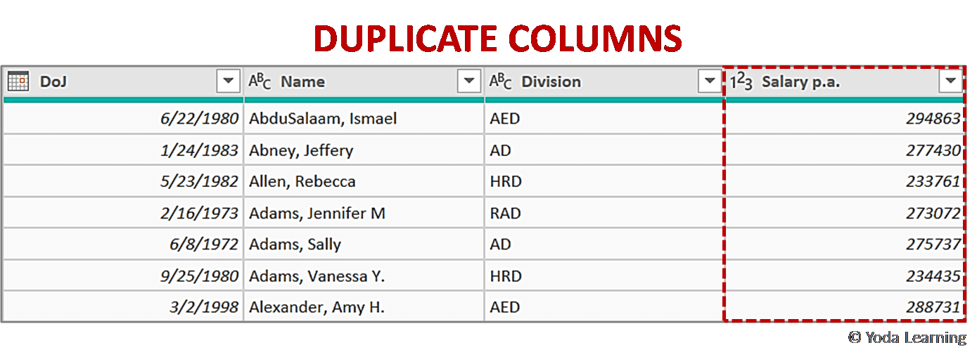 DUPLICATE COLUMNS