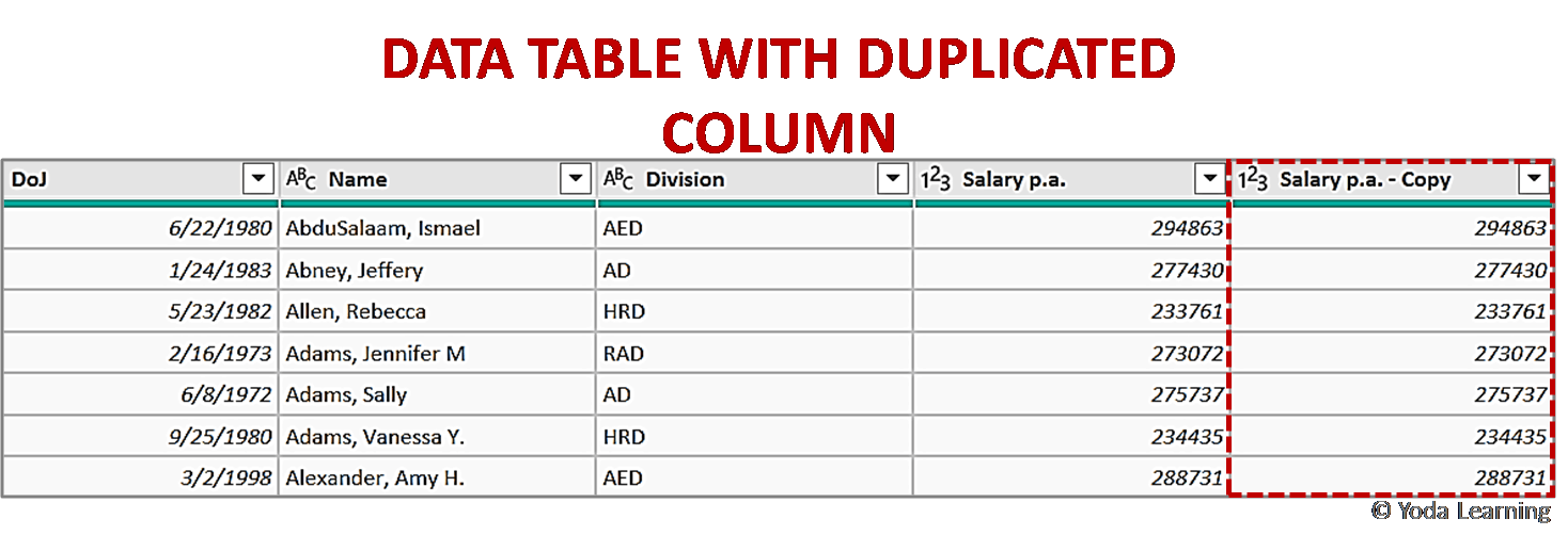 DATA TABLE WITH DUPLICATED COLUMN